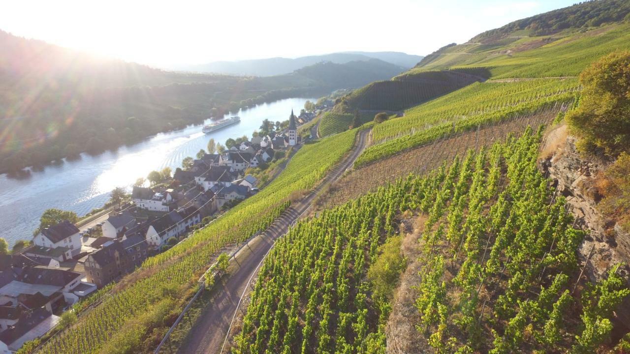 Haus Madle Apartment Cochem Exterior photo